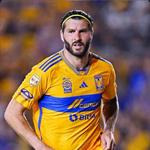 No procesa del todo bien Tigres marcha de &iacute;dolos