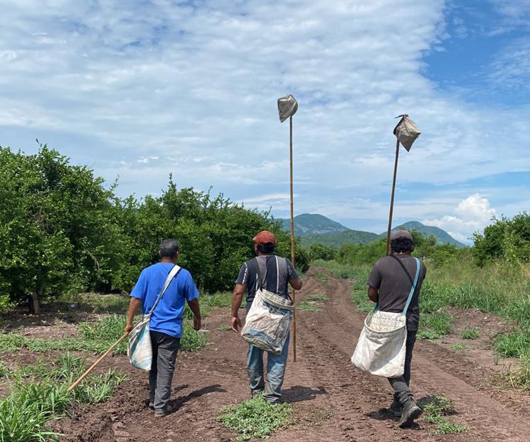 Jornaleros agrícolas migrantes reciben servicios de alfabetización Jornaleros agrícolas migrantes reciben servicios de alfabetización