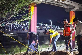 Realiza Medio Ambiente plantación de un gran sabino en Constitución Realiza Medio Ambiente plantación de un gran sabino en Constitución