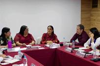 Ir&aacute; Morena, PT y el Verde en coalici&oacute;n por 16 gubernaturas