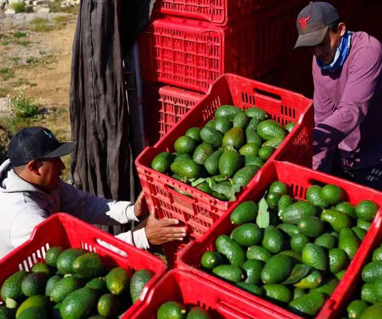 Endurecen reglas para exportar productos agr&iacute;colas