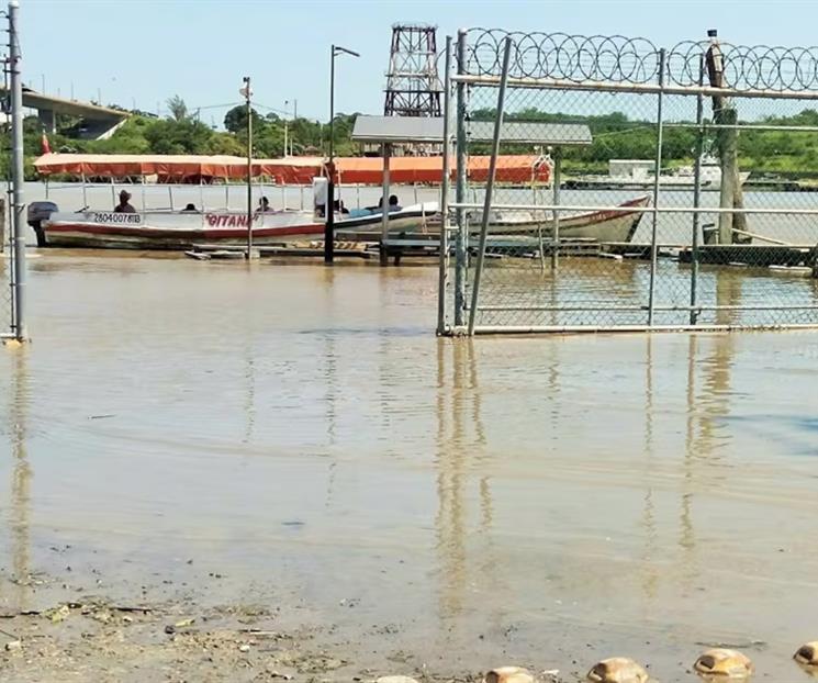 Investigan origen de mancha de hidrocarburo en el R&iacute;o P&aacute;nuco