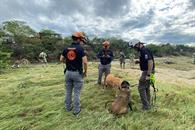 Sigue búsqueda de hombre arrastrado por la corriente Sigue búsqueda de hombre arrastrado por la corriente