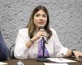 Busca el Congreso evitar que se reconozca a Carl&iacute;n como tesorero