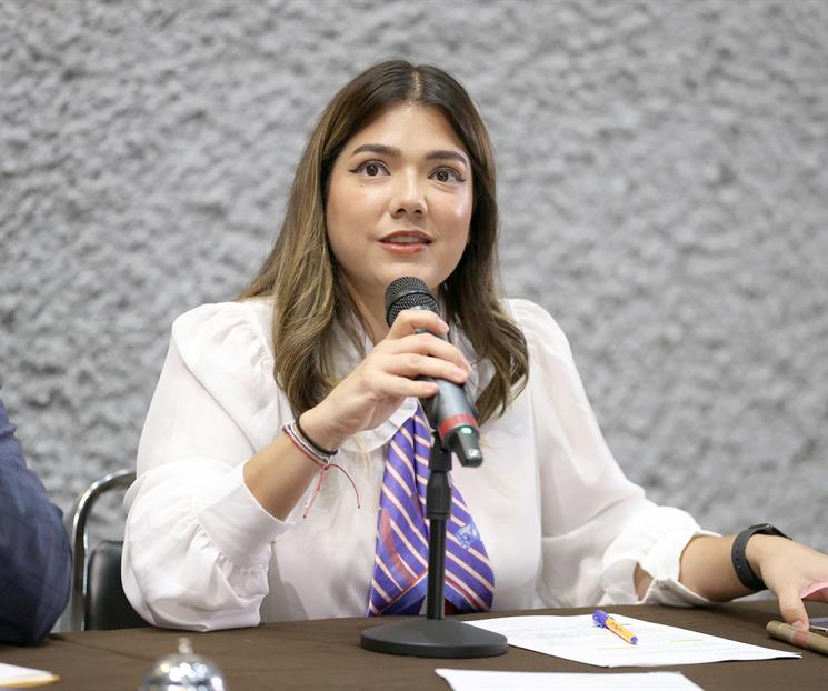 Busca el Congreso evitar que se reconozca a Carl&iacute;n como tesorero
