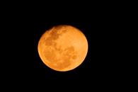 Luna de fresa 2026; esto dice la ciencia Luna de fresa 2026; esto dice la ciencia