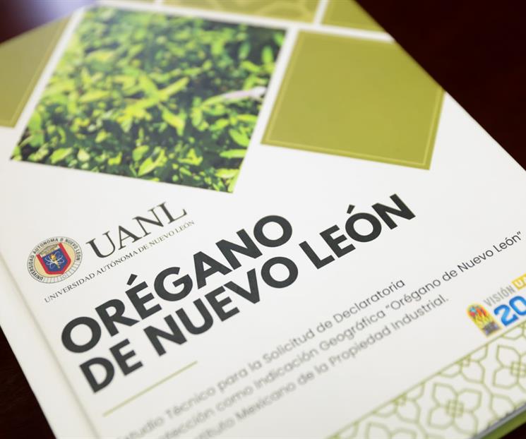 Obtiene el or&eacute;gano de NL declaratoria de Indicaci&oacute;n Geogr&aacute;fica