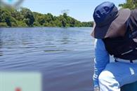 Profepa y Conagua indagan muerte de peces en Veracruz Profepa y Conagua indagan muerte de peces en Veracruz