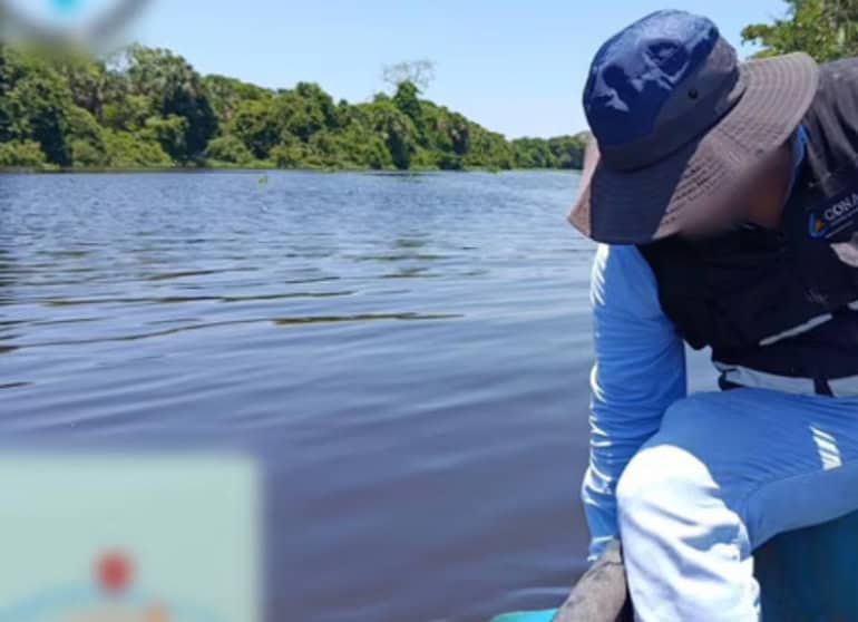 Profepa y Conagua indagan muerte de peces en Veracruz Profepa y Conagua indagan muerte de peces en Veracruz