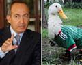 Critica Calder&oacute;n a FIFA por nombrar embajador al pato "Merl&iacute;n"