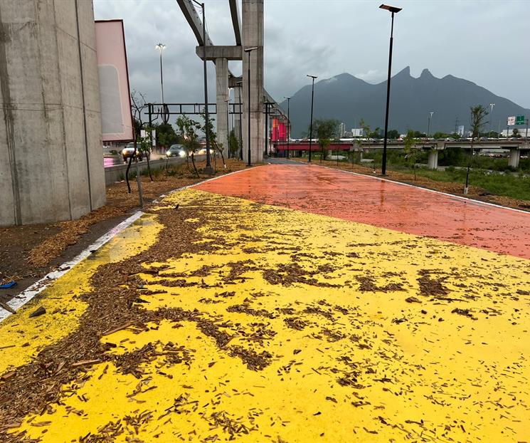 Reparar&aacute;n da&ntilde;os del Parque Lineal Constituci&oacute;n