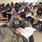 Hasta 2026, se han invertido casi 24mmdp para Becas Bienestar