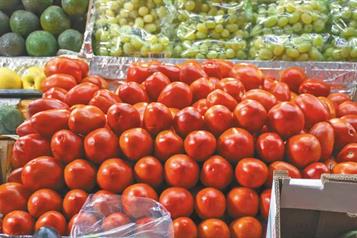 Profeco destaca baja en precio del di&eacute;sel y jitomate