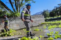 Realiza Santiago acciones de limpieza en presa &acute;La Boca&acute;