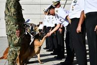 Rinde homenaje Semar a caninos jubilados Niko, Hunter e Hidra