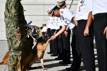 Rinde homenaje Semar a caninos jubilados Niko, Hunter e Hidra