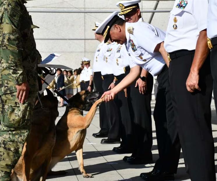 Rinde homenaje Semar a caninos jubilados Niko, Hunter e Hidra