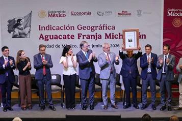 M&eacute;xico y Estados Unidos entran a fase de acuerdos en el T-MEC