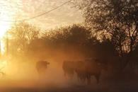 Enfrentar&aacute; M&eacute;xico calor hist&oacute;rico por fen&oacute;meno de El Ni&ntilde;o