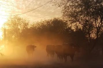 Enfrentar&aacute; M&eacute;xico calor hist&oacute;rico por fen&oacute;meno de El Ni&ntilde;o