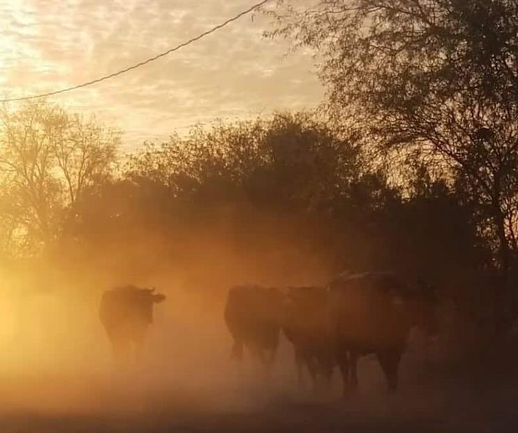 Enfrentará México calor histórico por fenómeno de El Niño