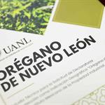 Or&eacute;gano: el oro verde de Nuevo Le&oacute;n