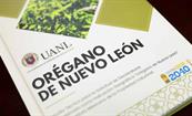 Or&eacute;gano: el oro verde de Nuevo Le&oacute;n