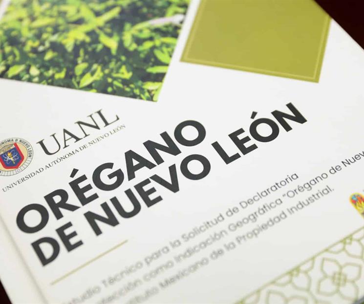 Or&eacute;gano: el oro verde de Nuevo Le&oacute;n