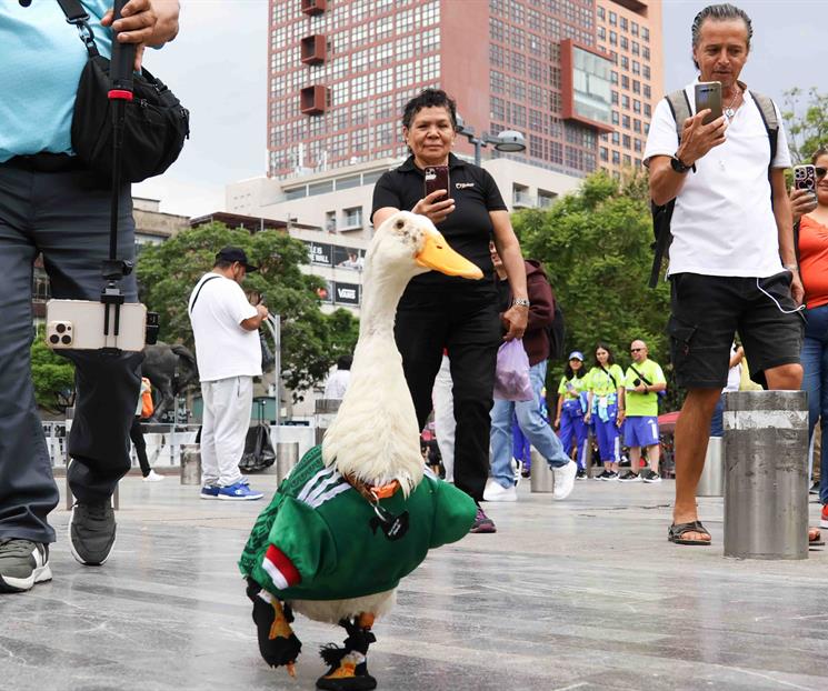 Pato Merl&iacute;n: as&iacute; han sido sus nuevas aventuras tras el &eacute;xito