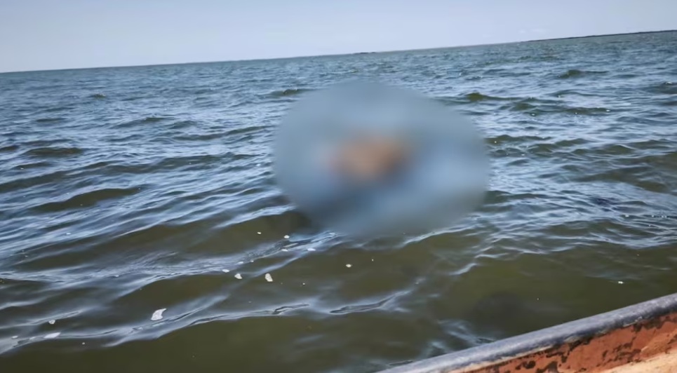 Piden agilizar estudios de gen&eacute;tica de cuerpos hallados en el mar