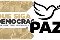 Niega INE registro a &acute;M&eacute;xico Tiene Vida&acute; y &acute;Que Siga la Democracia&acute;