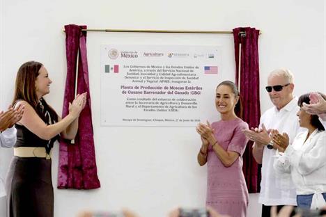 Inaugura Sheinbaum con EU planta de moscas contra gusano barrenador