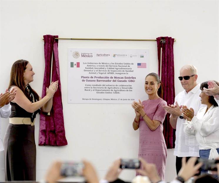 Inaugura Sheinbaum con EU planta de moscas contra gusano barrenador