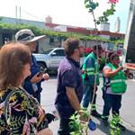 Realizan la d&eacute;cimo s&eacute;ptima edici&oacute;n de &acute;Adopta un &Aacute;rbol MTY&acute;