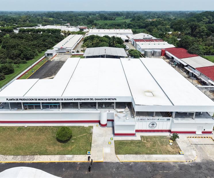 Inauguran planta de moscas contra gusano barrenador