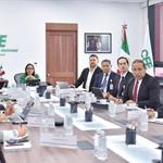 Prepara CFE plan para acabar con apagones