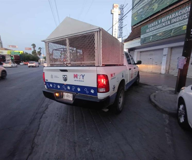 Amenaza con perros a mujer Amenaza con perros a mujer