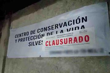 Profepa clausura temporalmente Animal Experience
