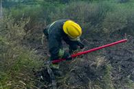 Se incenia predio en Linares