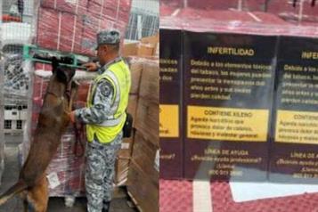 Aseguran en el AIFA 84 mil cigarrillos ilegales