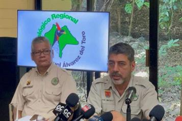 Descartan aumento de contagios de influenza aviar en Chiapas
