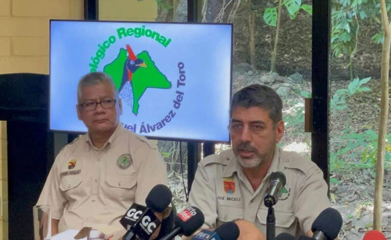 Descartan aumento de contagios de influenza aviar en Chiapas