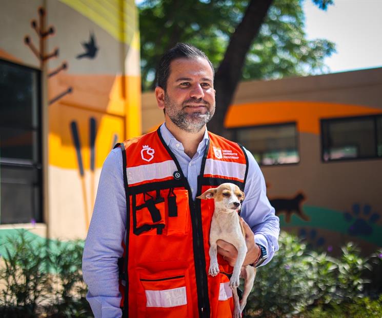 Vacuna Secretar&iacute;a de Salud a mascotas
