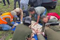 Profepa rechaza contradicciones en muerte de tigre de bengala