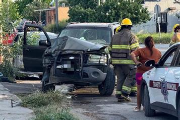 Impacta camioneta contra &aacute;rbol