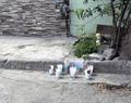 Buscan a ejecutores de bebé Buscan a ejecutores de bebé