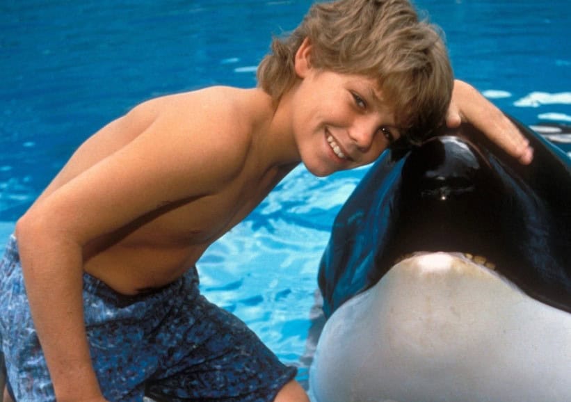 Preparan nueva adaptación cinematográfica de Liberen a Willy Preparan nueva adaptación cinematográfica de Liberen a Willy
