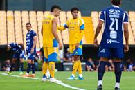 Caen Tigres en amistoso frente al Cartagin&eacute;s