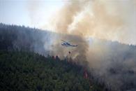 Al menos 12 muertos en incendio forestal en el sur de Espa&ntilde;a