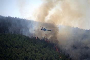 Al menos 12 muertos en incendio forestal en el sur de Espa&ntilde;a